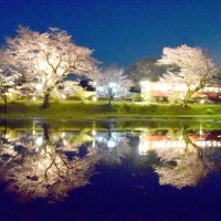 夜桜と小湊鉄道