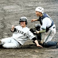 西武台千葉、暁星国際名乗り　第７９回春季千葉県高校野球　地区予選