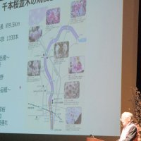 新川千本桜の保全活動報告　八千代でさくらシンポ　和太鼓と書道のコラボも