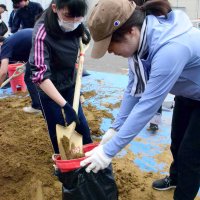 大雨に備え「役に立てば」　親族被災の経験も新採職員土のう作り　茂原市