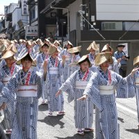 成田山新勝寺の参道で、踊りを披露する参加者＝９日、成田市